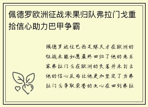 佩德罗欧洲征战未果归队弗拉门戈重拾信心助力巴甲争霸